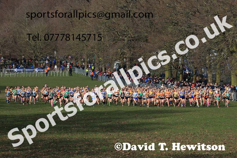Womens Under-17s, 2024 CAU Inter Counties Cross Country Champs., Wollaton Park, Nottingham. Photo: David T. Hewitson/Sports for All Pics